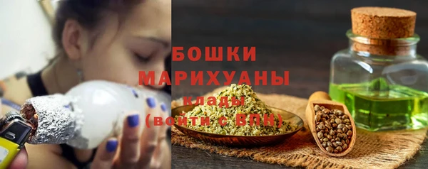 прущие грибы Белоозёрский
