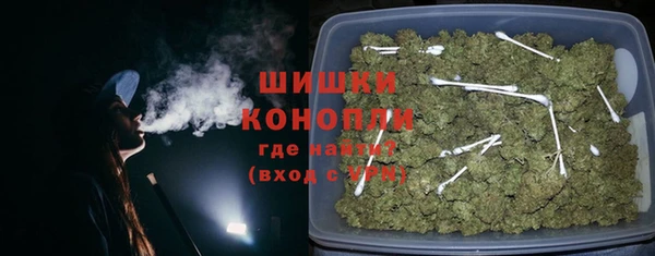 ГАЛЛЮЦИНОГЕННЫЕ ГРИБЫ Белокуриха
