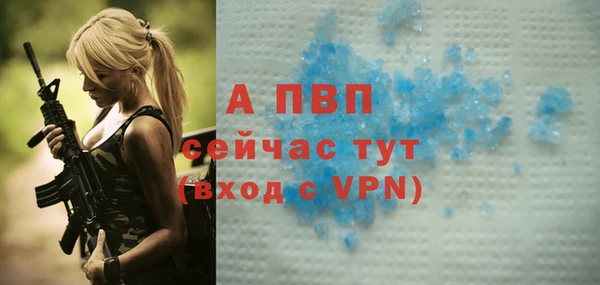 ГАЛЛЮЦИНОГЕННЫЕ ГРИБЫ Белокуриха