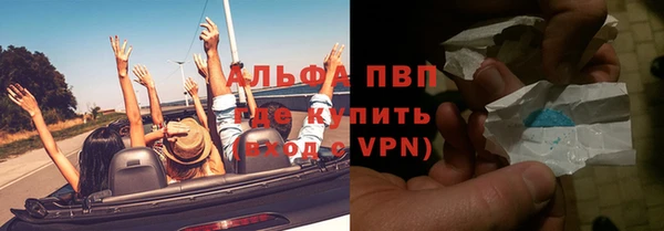 прущие грибы Белоозёрский