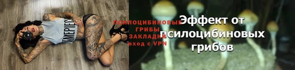 ГАЛЛЮЦИНОГЕННЫЕ ГРИБЫ Белокуриха