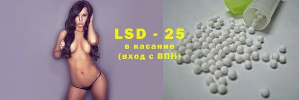 прущие грибы Белоозёрский
