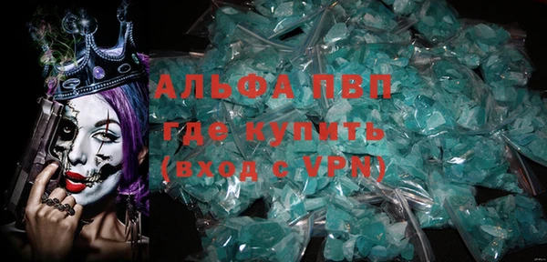 ГАЛЛЮЦИНОГЕННЫЕ ГРИБЫ Белокуриха