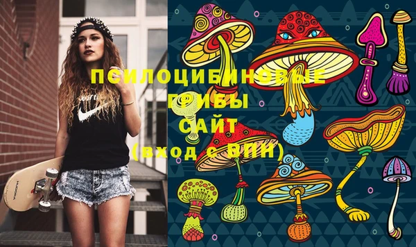 дурь Беломорск