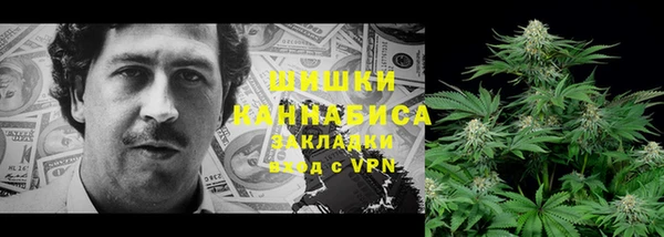 ГАЛЛЮЦИНОГЕННЫЕ ГРИБЫ Белокуриха