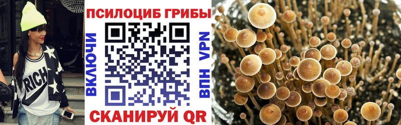 Галлюциногенные грибы GOLDEN TEACHER  купить  сайты  mega зеркало  Киренск 